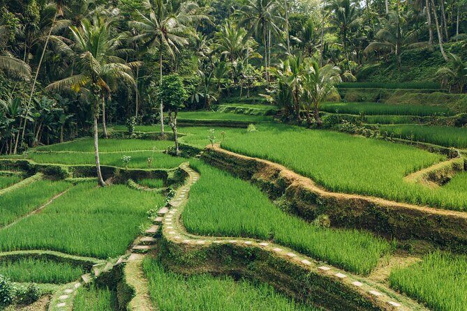 Bali Private Car Full Day Customized Tour With Drone Service - Why This Tour Works Well