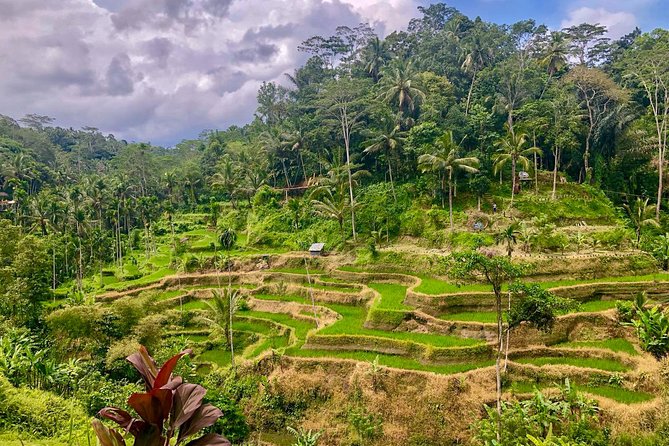 Bali Private Car, Hire a Private Car With English Speaking Driver - Benefits of Hiring a Private Car