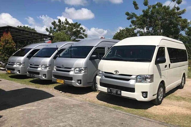 Bali Private Car Hire with English-Speaking Driver - Elephant Cave (Goa Gajah)