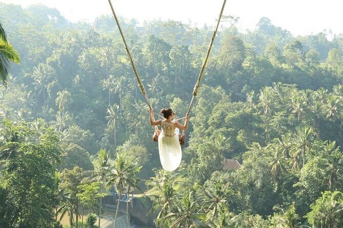 Bali Private Car Hire with English-Speaking Driver - Ubud Traditional Art Market