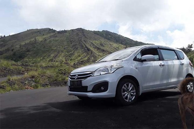 Bali Private Car or Minibus Charter With Driver - Booking Process