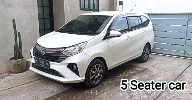 Bali: Private Car or Van Charter With Driver - Reviews