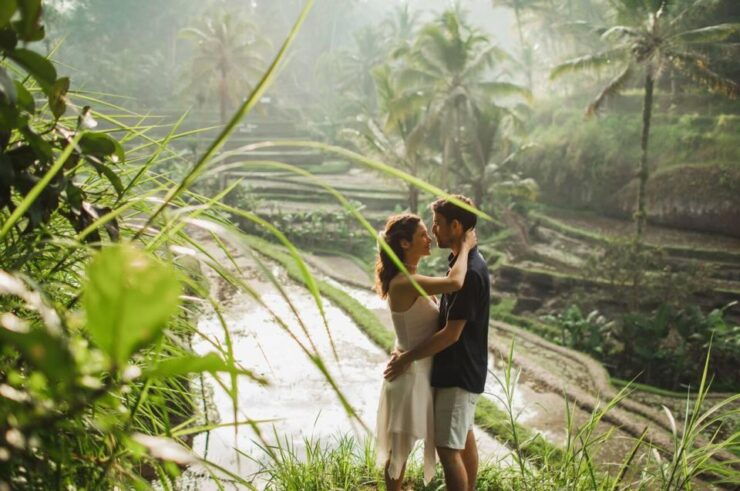 Bali Private Car Rental With English-Speaking Driver - Services Offered