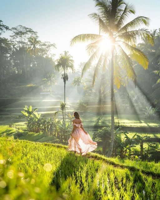 Bali Private Car Rental With English-Speaking Driver - Inclusions