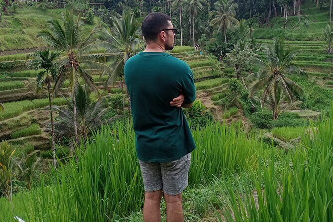 Bali Private Car Transport Experience - Frequently Asked Questions