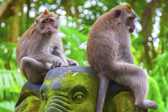 Bali Private Chartered Tour - Pricing and Booking Process