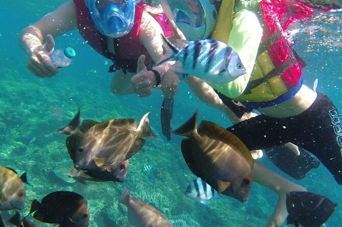 Bali Private Custom Tour - Tour Overview