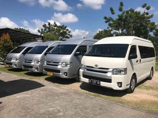 Bali: Private Custom Tour With English Speaking Driver - Benefits of a Private Driver