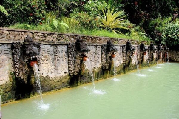 Bali: Private Customizable Tour With German Speaking Guide - Ideal For Various Travelers