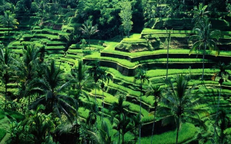Bali: Private Customize Tour - Good To Know