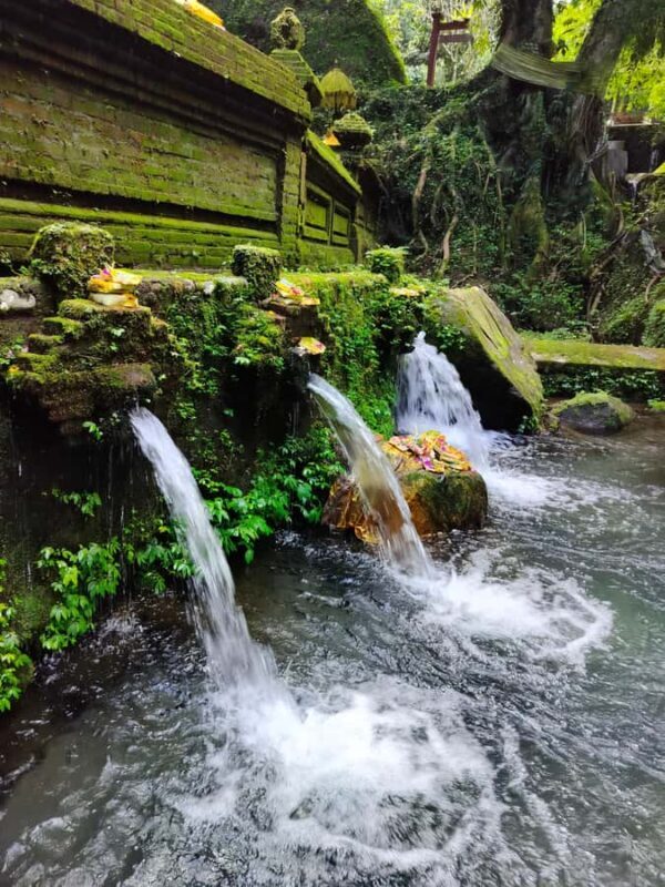 Bali: Private Customized Full-Day Tour with Driver - How the Experience Feels in Practice