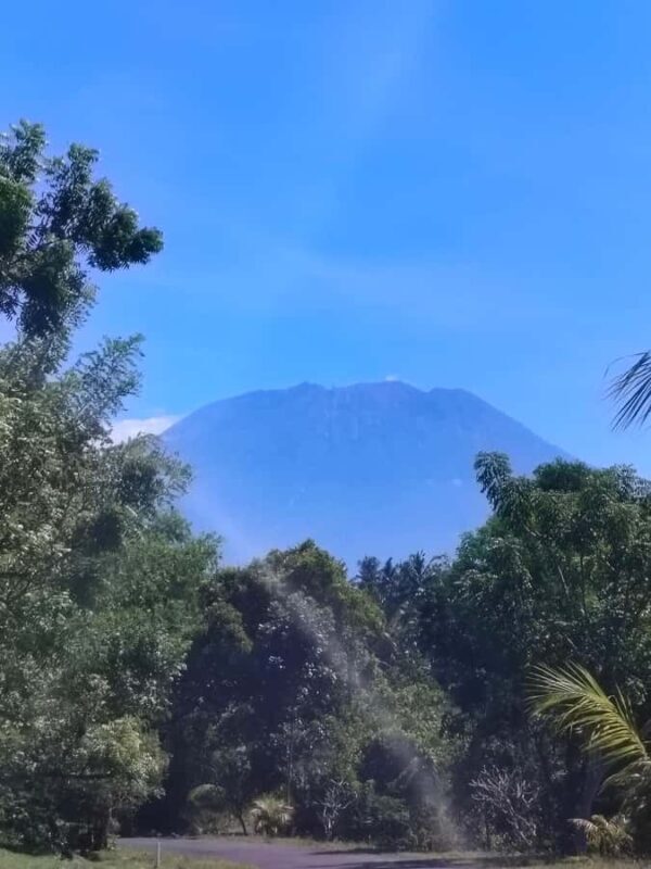 Bali: Private Customized Full-Day Tour with Driver - Final Thoughts