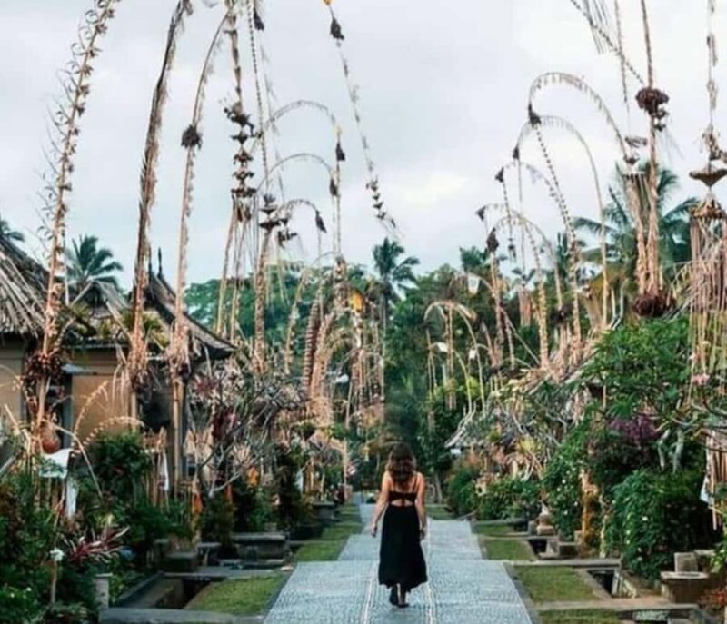 Bali: Private Day Trip to Waterfall & Traditional Village - Good To Know