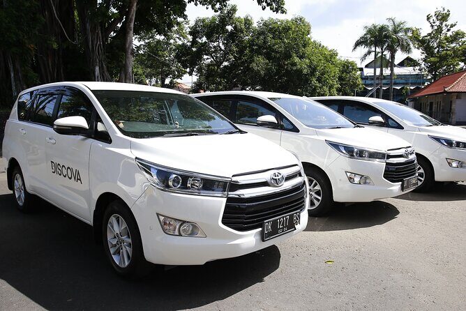 Bali Private Departure Transfer: Hotel to Bali Airport, Free WIFI - Good To Know