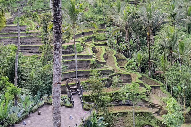 Bali Private Driver and Car for Customize Tours - Services Included