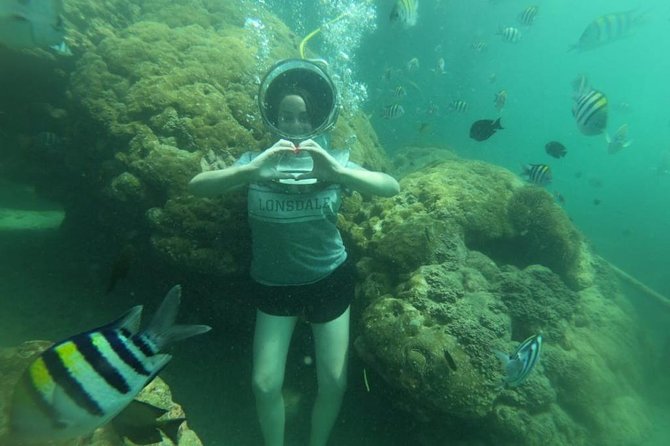 Bali Private Driver - Bali Customized Private Tour - What to Expect