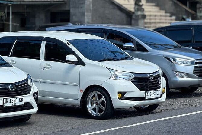 Bali Private Hotel Transfer Point To Point All Area - Who Will Benefit Most from This Service?