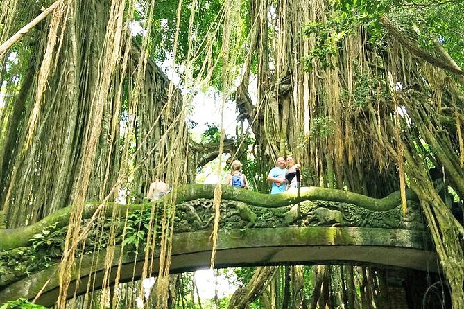 Bali Private Inclusive Tour : The Best Of Ubud With Jungle Swing - Tour Highlights