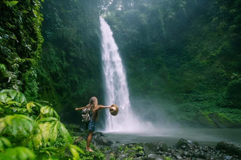 Bali: Private Jungle Swing, Waterfall & Rice Paddy Tour - What Sets This Tour Apart?