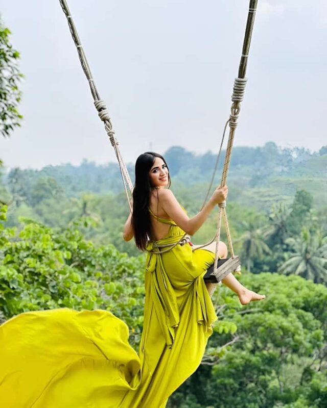Bali: Private Jungle Swing, Waterfall & Rice Paddy Tour - The Sum Up