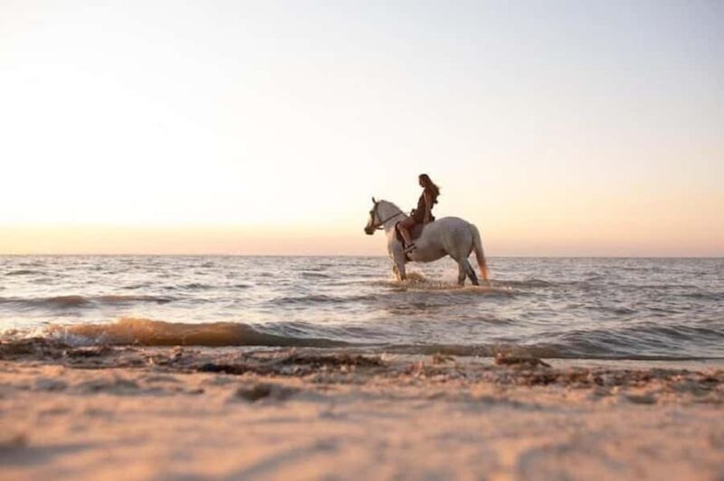 Bali: Private Kudungu Beach and Rice Field Horseback Ride - What to Expect from the Kudungu Beach Horseback Ride