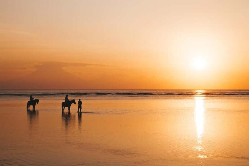 Bali: Private Kudungu Beach and Rice Field Horseback Ride - Who Will Love This Experience?