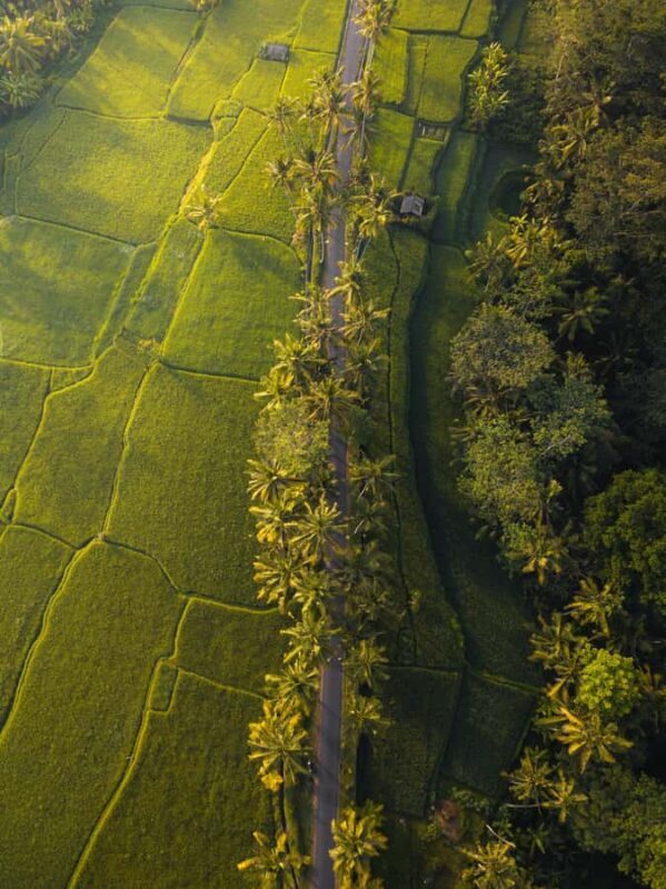 Bali: Private Kudungu Beach and Rice Field Horseback Ride - The Sum Up