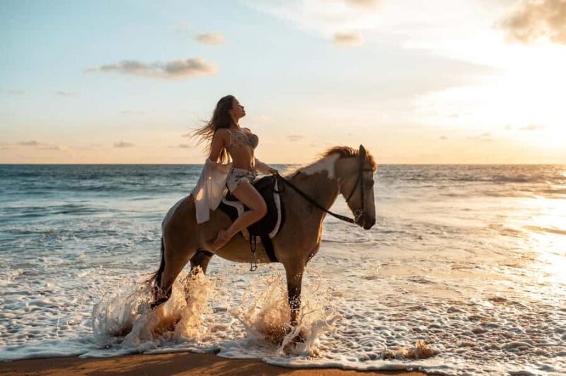 Bali: Private Kudungu Beach and Rice Field Horseback Ride - Introduction