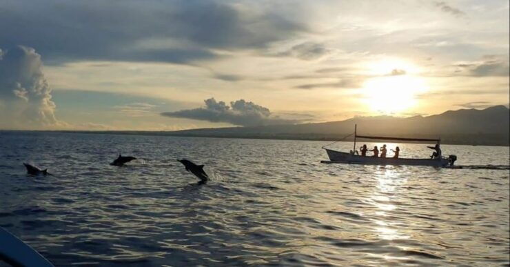 Bali: Private Lovina Dolphins and North Bali Full Day Tour - Highlights