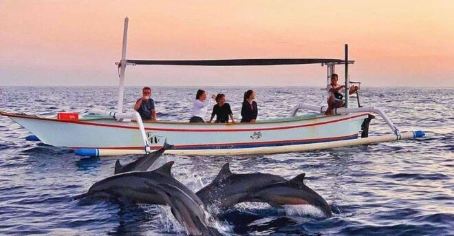 Bali: Private Lovina Dolphins and North Bali Full Day Tour - Customer Reviews