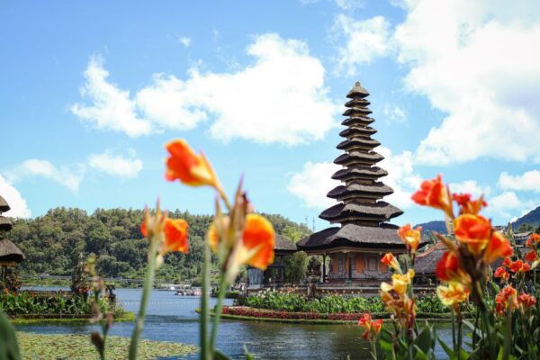 Bali: Private Lovina Dolphins and North Bali Full Day Tour - Itinerary and Activities