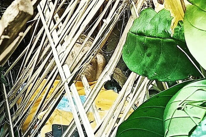 Bali Private Mystic Death Tour In Trunyan - Who Will Love This Tour?