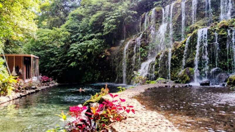 Bali: Private North Bali Tour with Lunch & Waterfall - Who Will Love This Tour?