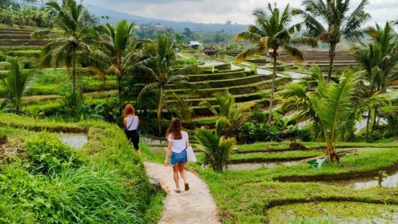 Bali: Private North Bali Tour with Lunch & Waterfall - Exploring the Best of North Bali: A Detailed Review of the Private Tour with Lunch & Waterfall