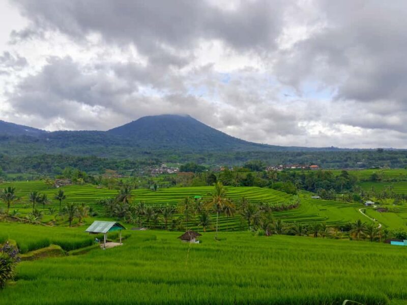 Bali: Private North Bali Tour with Tanah Lot Sunset - Who Should Consider This Tour?