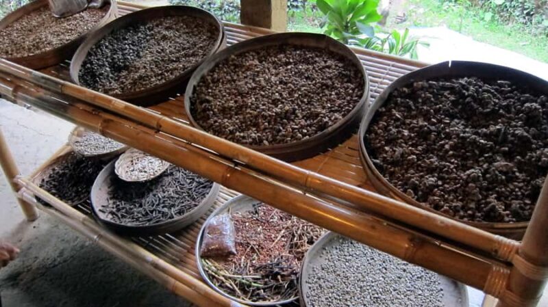 Bali private : Palm Reading Water Temple, rice terrace - Good To Know