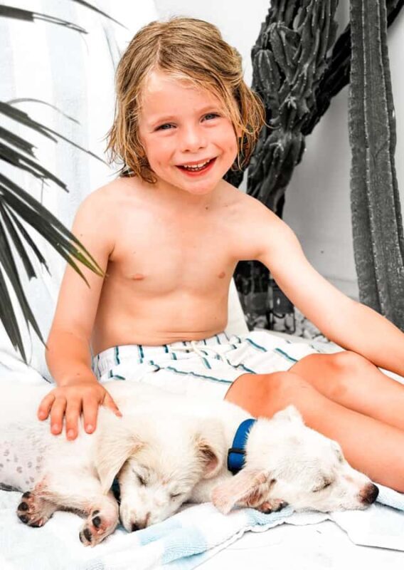 Bali: Private Puppy Therapy Experience at Your Villa - Who Should Book This Experience?