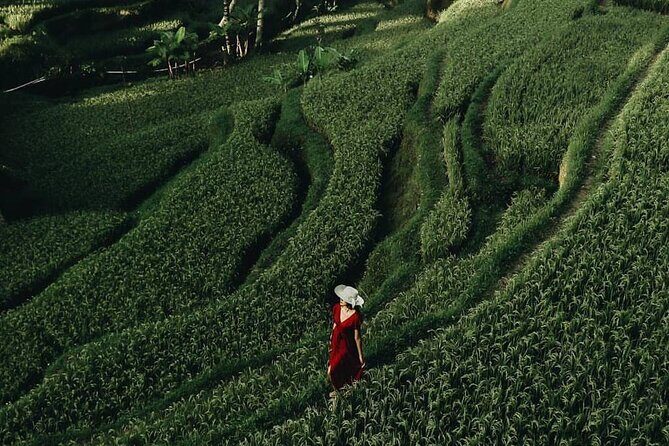 Bali private Shore Excursion from Benoa Port - All Inclusive - Good To Know