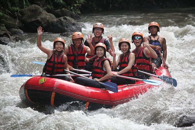 Bali Private Small Group White Water Rafting in Ubud - What To Expect
