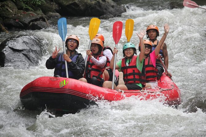 Bali Private Small Group White Water Rafting in Ubud - Pricing and Guarantee