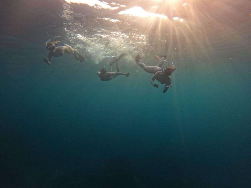 Bali: Private Snorkeling at Manta Point Nusa Penida - Who Should Book This Tour?