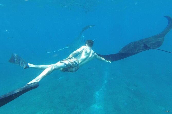 Bali Private Snorkeling (Manta, Gamat, Crystal) and Nusa Penida Tour - Tour Highlights