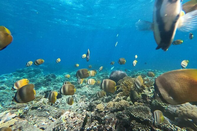 Bali Private Snorkeling (Manta, Gamat, Crystal) and Nusa Penida Tour - Photo Stops