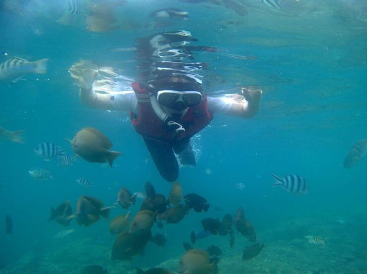 Bali: Private Snorkeling To Blue Lagoon And Tanjung Jepun - Tour Details and Booking