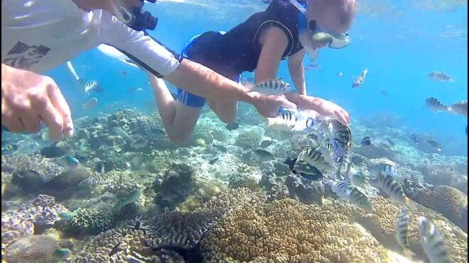 Bali: Private Snorkeling To Blue Lagoon And Tanjung Jepun - Inclusions