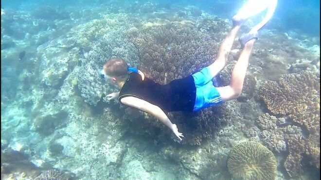 Bali: Private Snorkeling To Blue Lagoon And Tanjung Jepun - Benefits of Private Tour