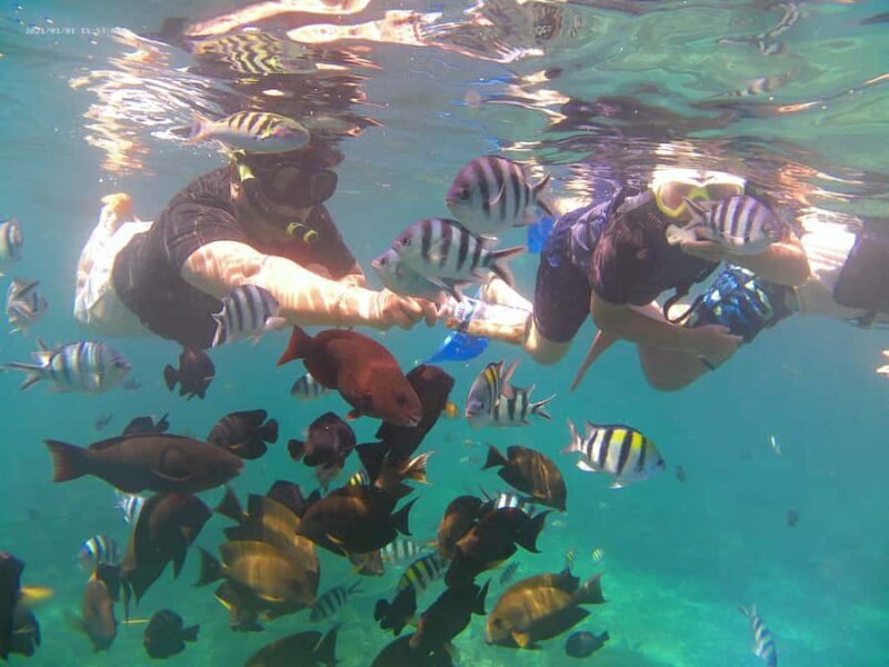 Bali: Private Snorkeling Trip to Blue Lagoon & Tanjung Jepun - Practical Considerations & Tips