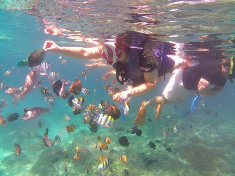 Bali: Private Snorkeling Trip to Blue Lagoon & Tanjung Jepun - FAQ