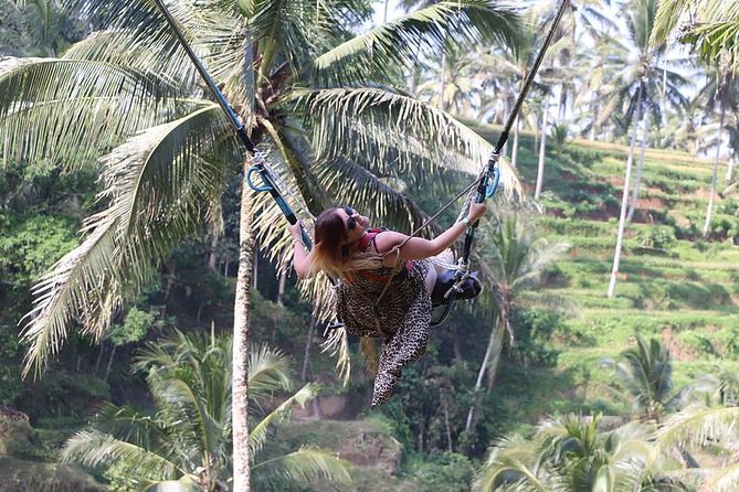 Bali Private Swing, Monkey Forest, and Tegalalang Tour - Ubud - Itinerary Overview