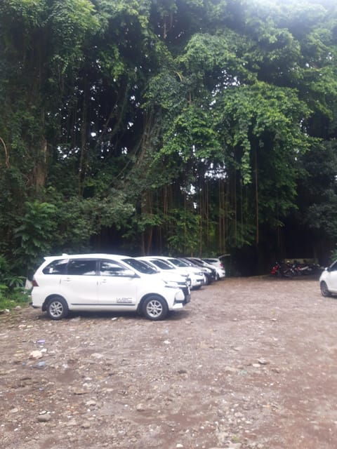 Bali: Private Taxi Transfer Airport From/To Ubud - Key Points